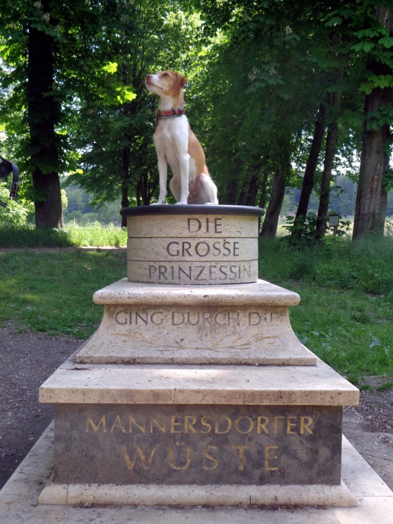 Mannersdorfer Wüste mit Hund Fotospot